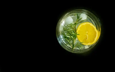 Stovetop Simmer Air Freshener With Lemon, Rosemary, And Vanilla